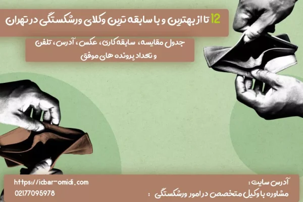 12 تا از بهترین و با سابقه ترین وکیل ورشکستگی در تهران - مهتاب امیدی